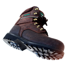 GS Crazy Horse